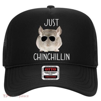 JUST CHINCHILLIN TSHIRT, CHINCHILLA, BRO, RELAXING, CHILLIN Hat
