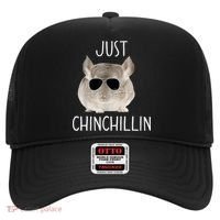 JUST CHINCHILLIN TSHIRT, CHINCHILLA, BRO, RELAXING, CHILLIN Hat thumb 0