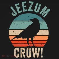 Jeezum Crow Vermont Raven Women's T-Shirt thumb 6