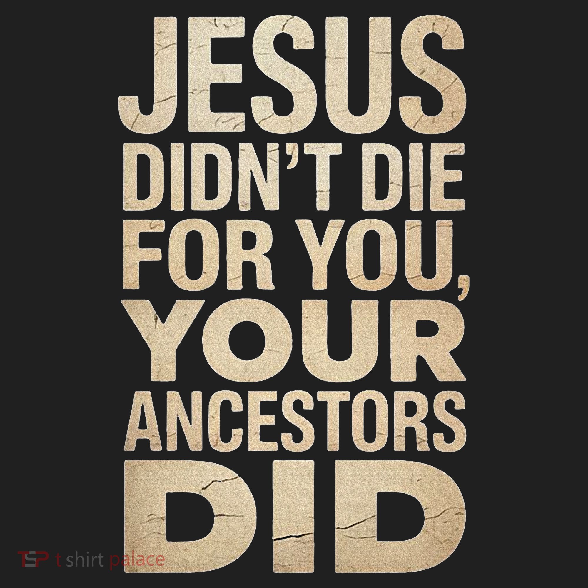 Jesus Didnt Die For You Your Ancestors Did - Power Ashe Hat
