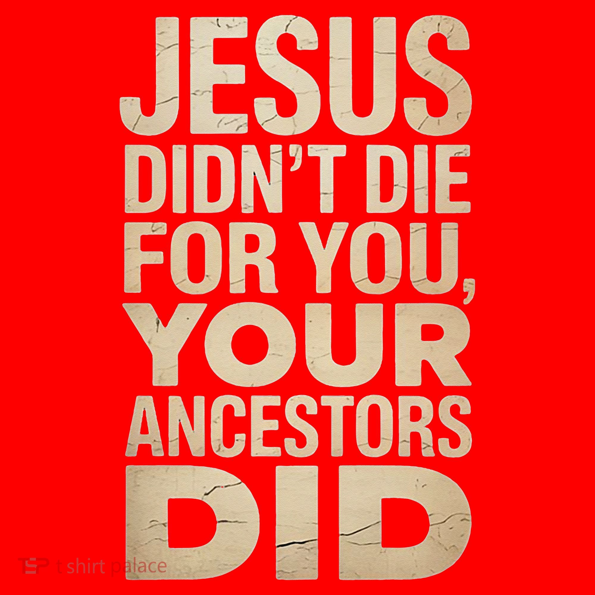 Jesus Didnt Die For You Your Ancestors Did - Power Ashe Santa Hat