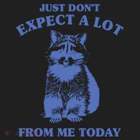 Just Dont Expect A Lot From Me Today Raccoon Funny Women's Sweatshirt thumb 2
