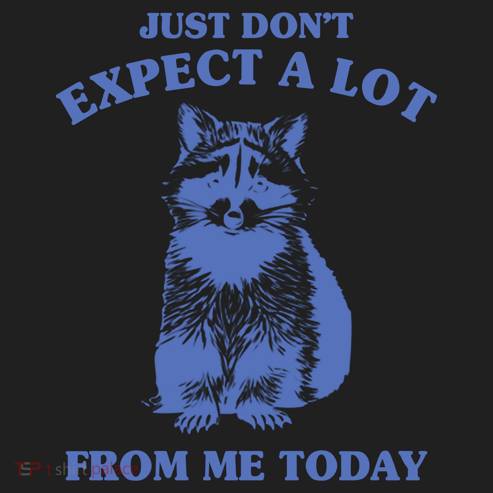 Just Dont Expect A Lot From Me Today Raccoon Funny Women's Sweatshirt