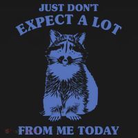 Just Dont Expect A Lot From Me Today Raccoon Funny Coaster thumb 2