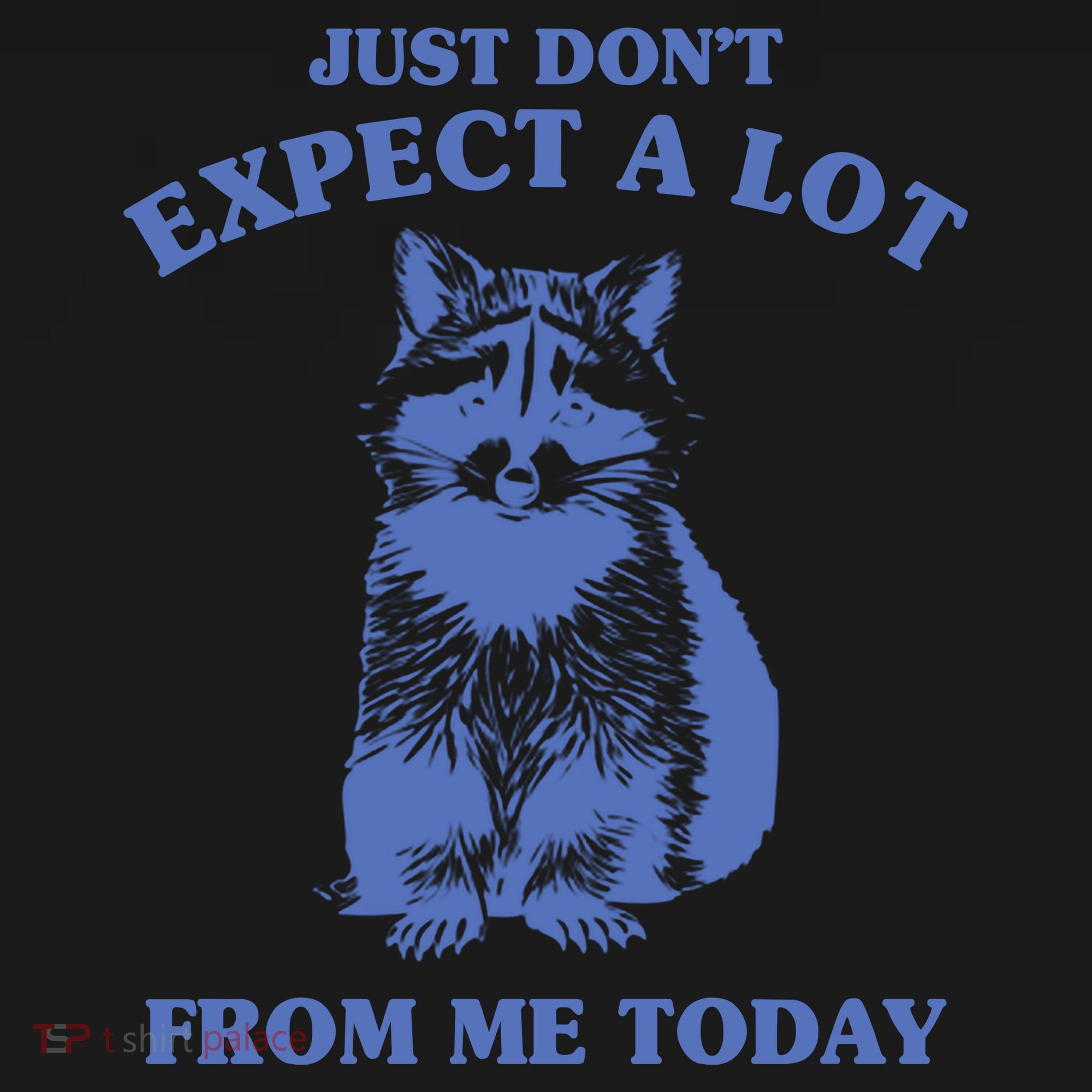 Just Dont Expect A Lot From Me Today Raccoon Funny Coaster