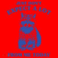 Just Dont Expect A Lot From Me Today Raccoon Funny Santa Hat thumb 1