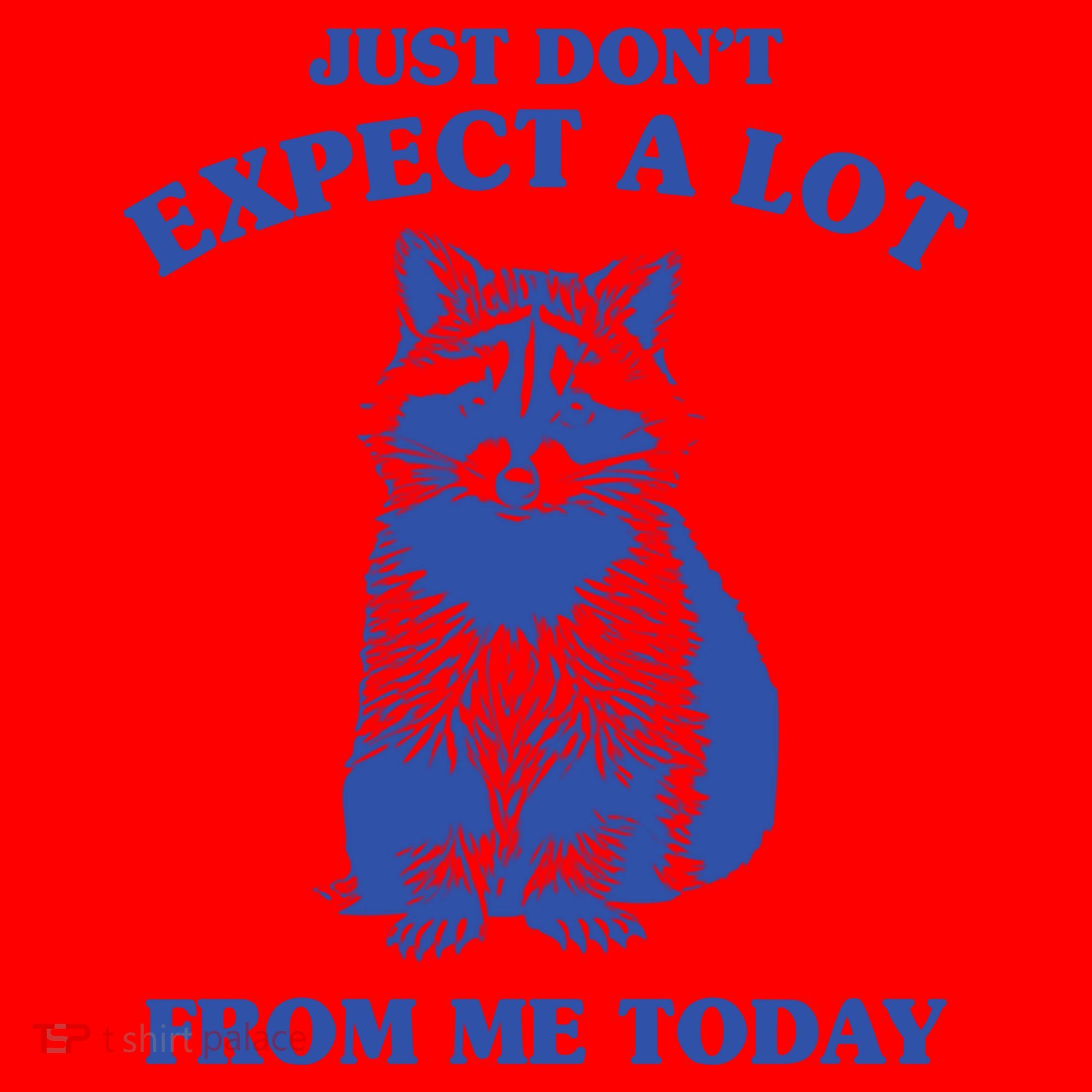Just Dont Expect A Lot From Me Today Raccoon Funny Santa Hat