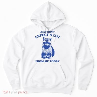Just Dont Expect A Lot From Me Today Raccoon Funny Hoodie