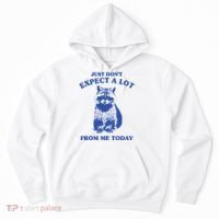 Just Dont Expect A Lot From Me Today Raccoon Funny Hoodie thumb 0