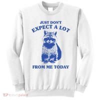 Just Dont Expect A Lot From Me Today Raccoon Funny Sweatshirt thumb 0
