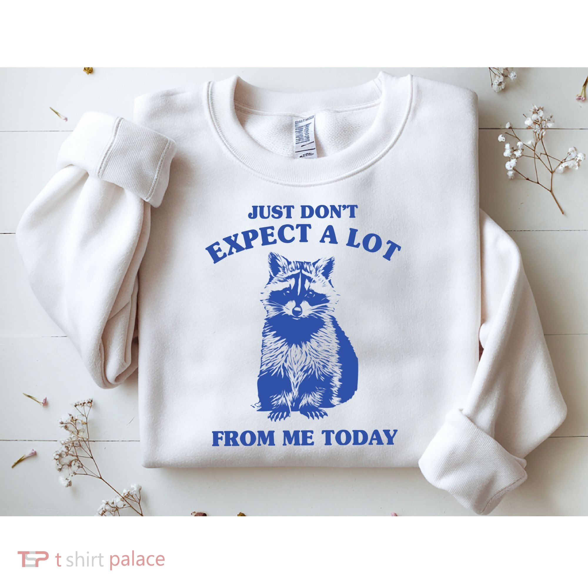 Just Dont Expect A Lot From Me Today Raccoon Funny Sweatshirt