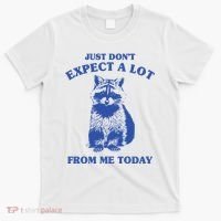 Just Dont Expect A Lot From Me Today Raccoon Funny T-Shirt thumb 0