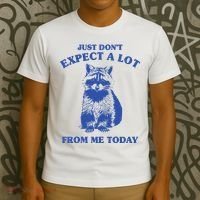 Just Dont Expect A Lot From Me Today Raccoon Funny T-Shirt thumb 3