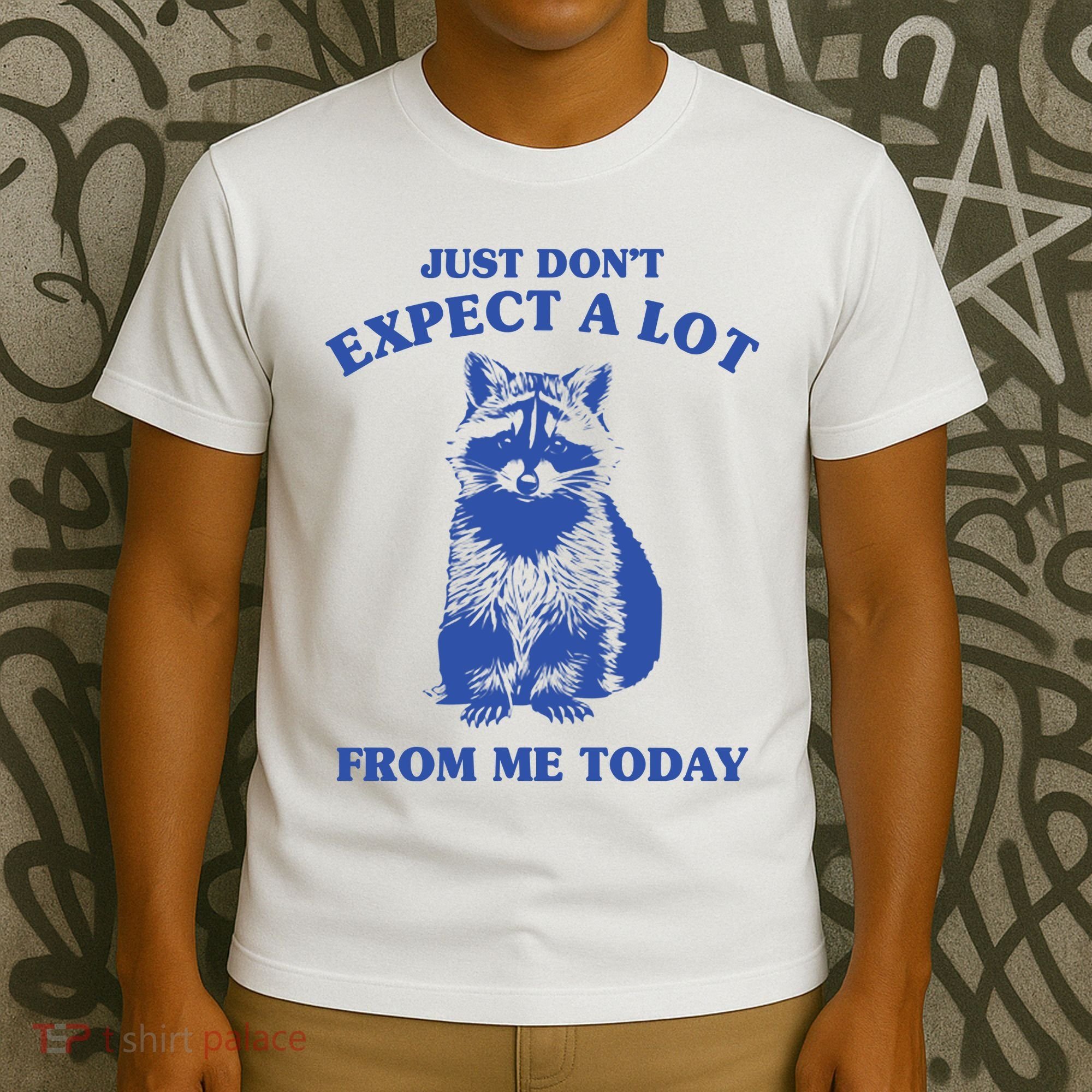 Just Dont Expect A Lot From Me Today Raccoon Funny T-Shirt