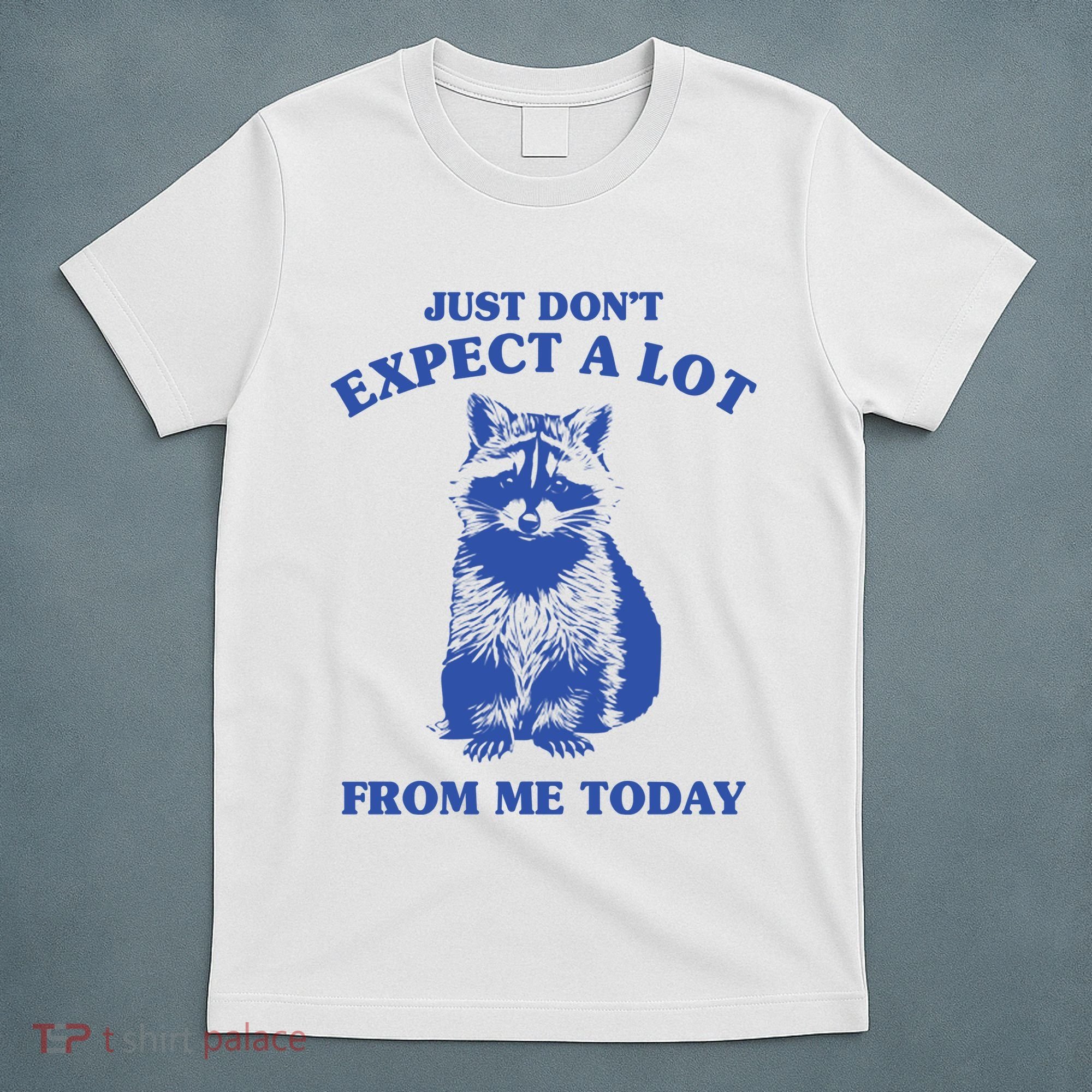 Just Dont Expect A Lot From Me Today Raccoon Funny T-Shirt
