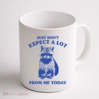 Just Dont Expect A Lot From Me Today Raccoon Funny Coffee Mug thumb 1