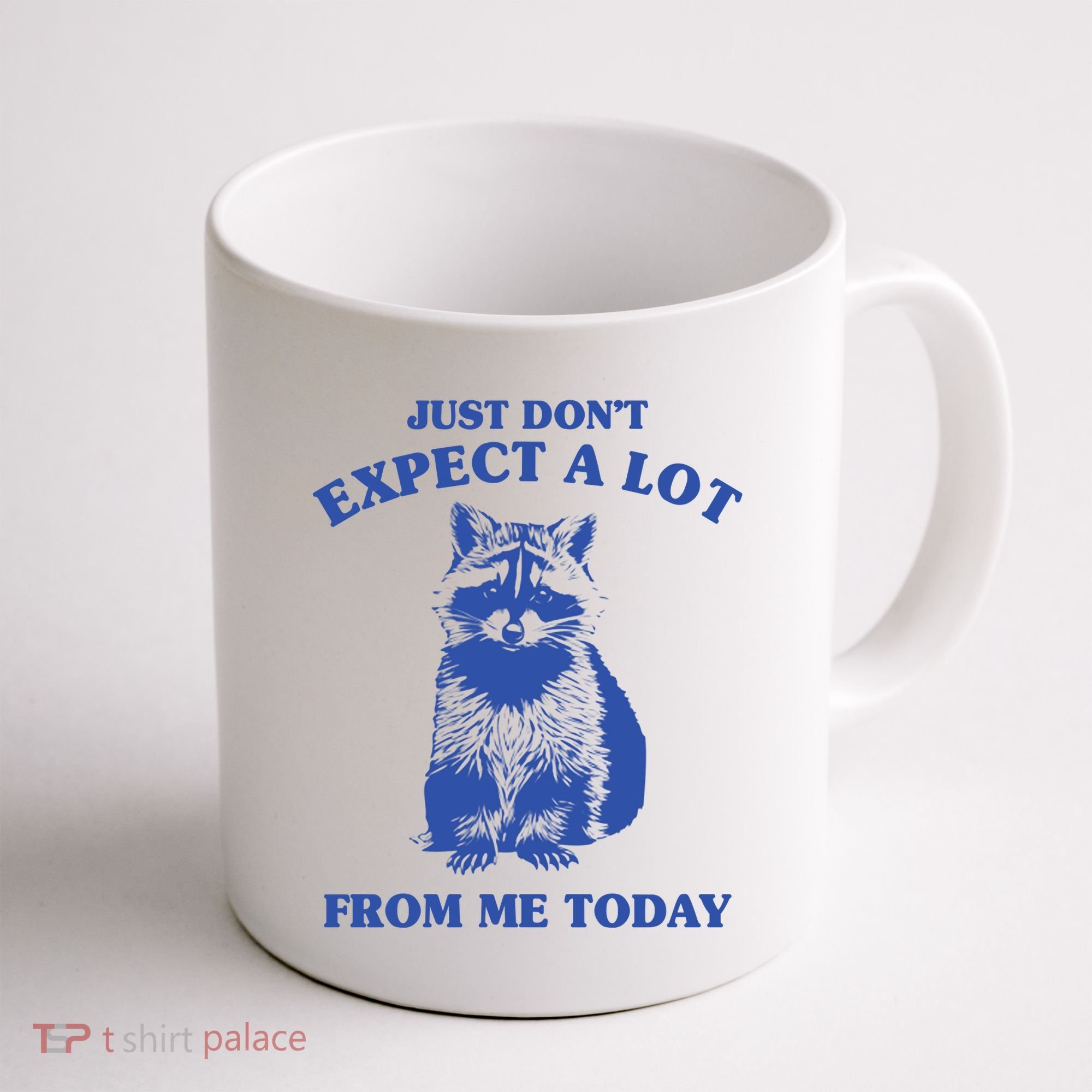 Just Dont Expect A Lot From Me Today Raccoon Funny Coffee Mug