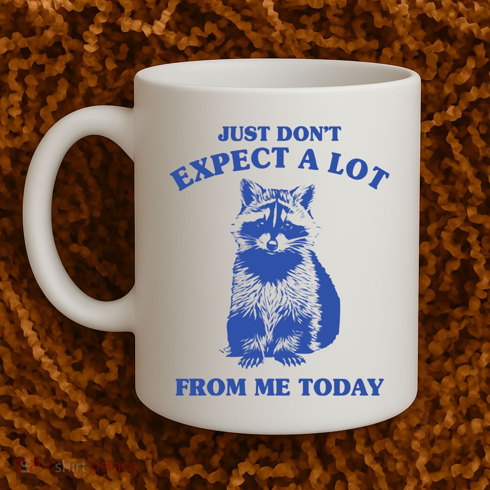 Just Dont Expect A Lot From Me Today Raccoon Funny Coffee Mug