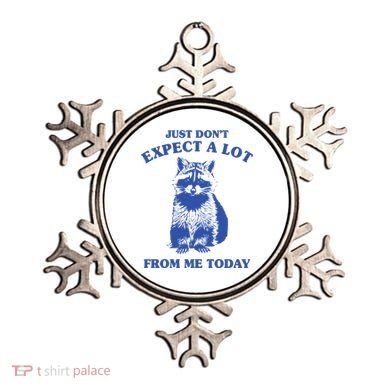 Just Dont Expect A Lot From Me Today Raccoon Funny Ornament