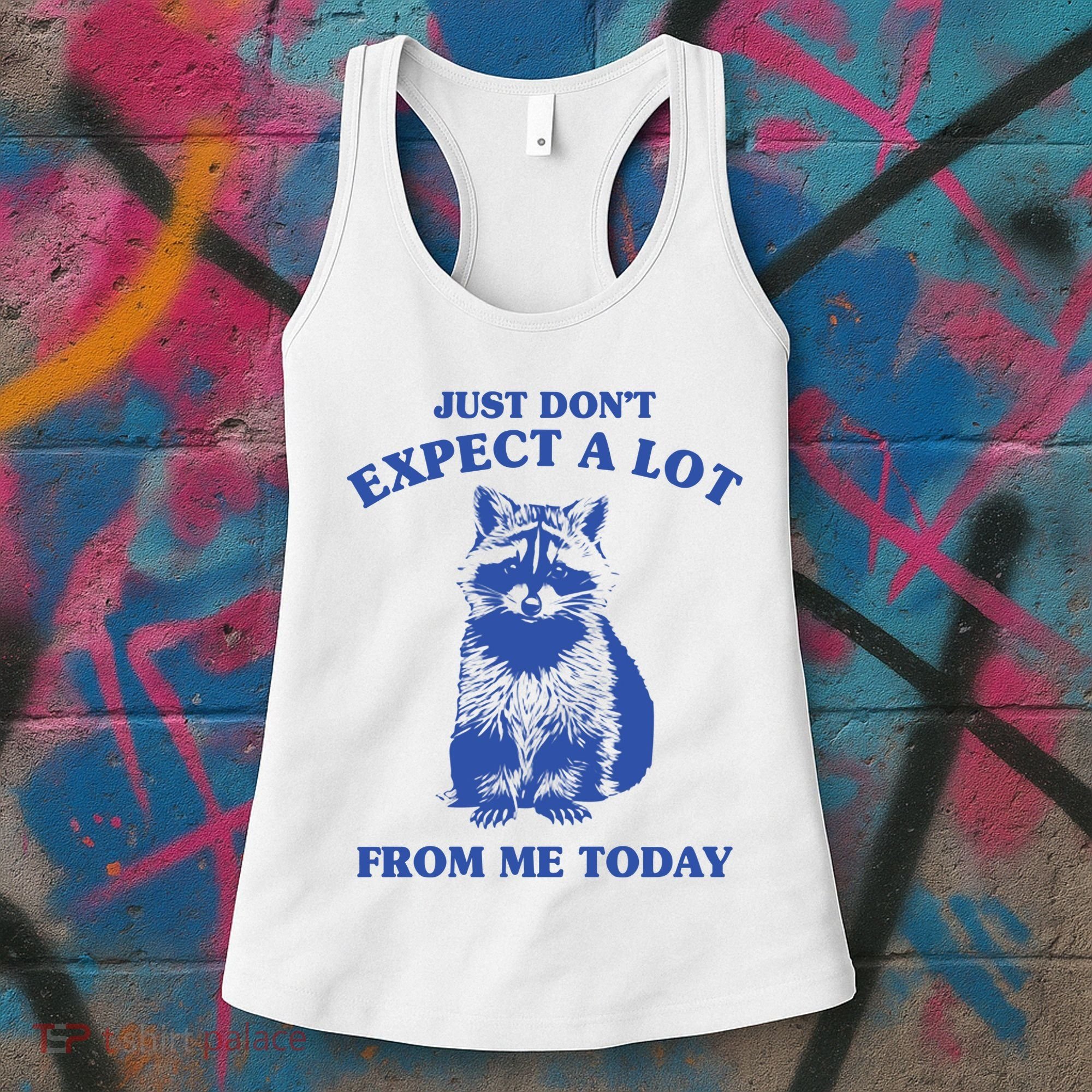Just Dont Expect A Lot From Me Today Raccoon Funny Women's Tank Top