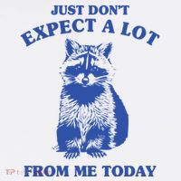 Just Dont Expect A Lot From Me Today Raccoon Funny Women's Tank Top thumb 5