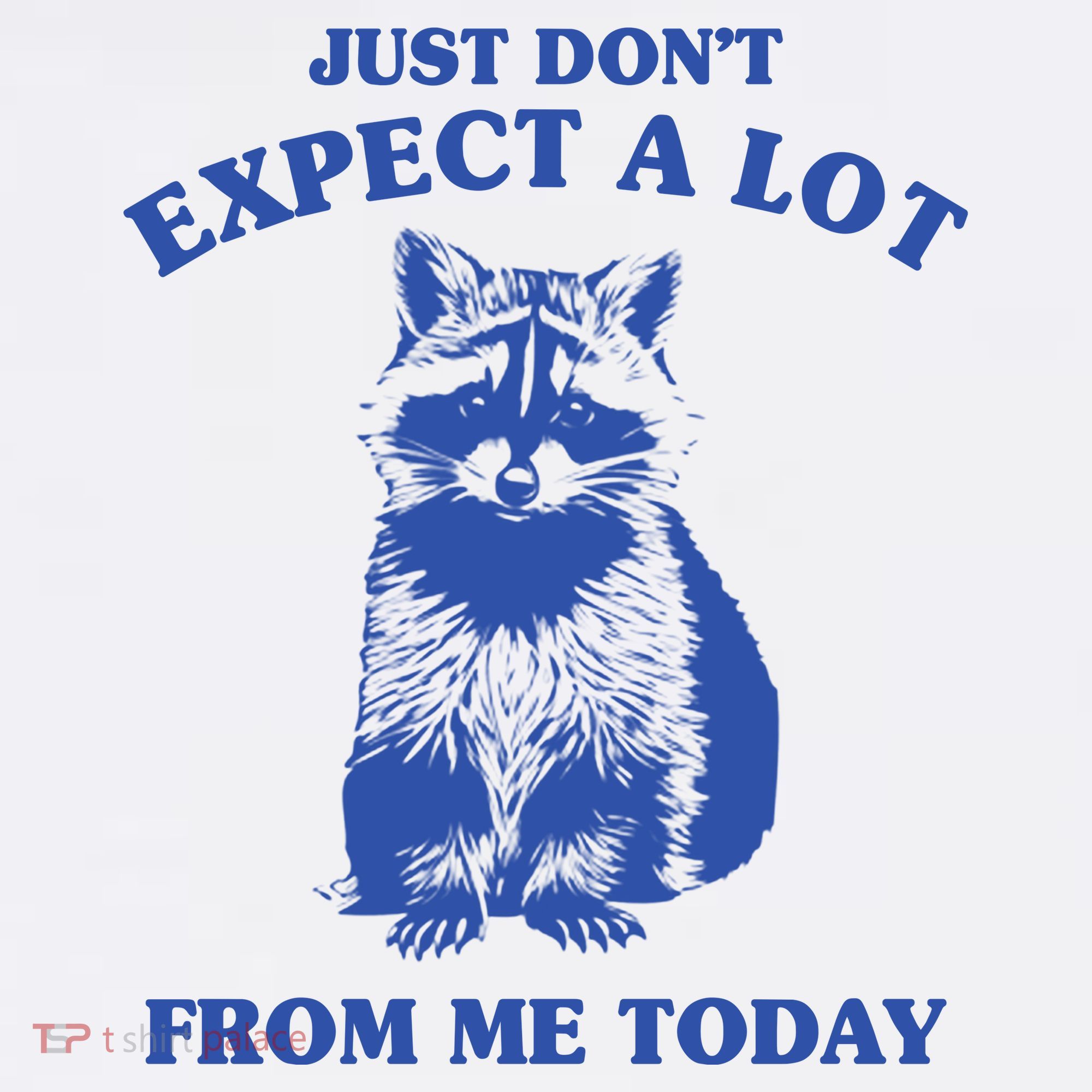 Just Dont Expect A Lot From Me Today Raccoon Funny Women's Tank Top