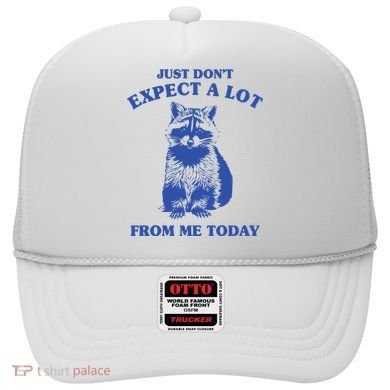 Just Dont Expect A Lot From Me Today Raccoon Funny Hat