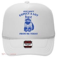 Just Dont Expect A Lot From Me Today Raccoon Funny Hat thumb 0