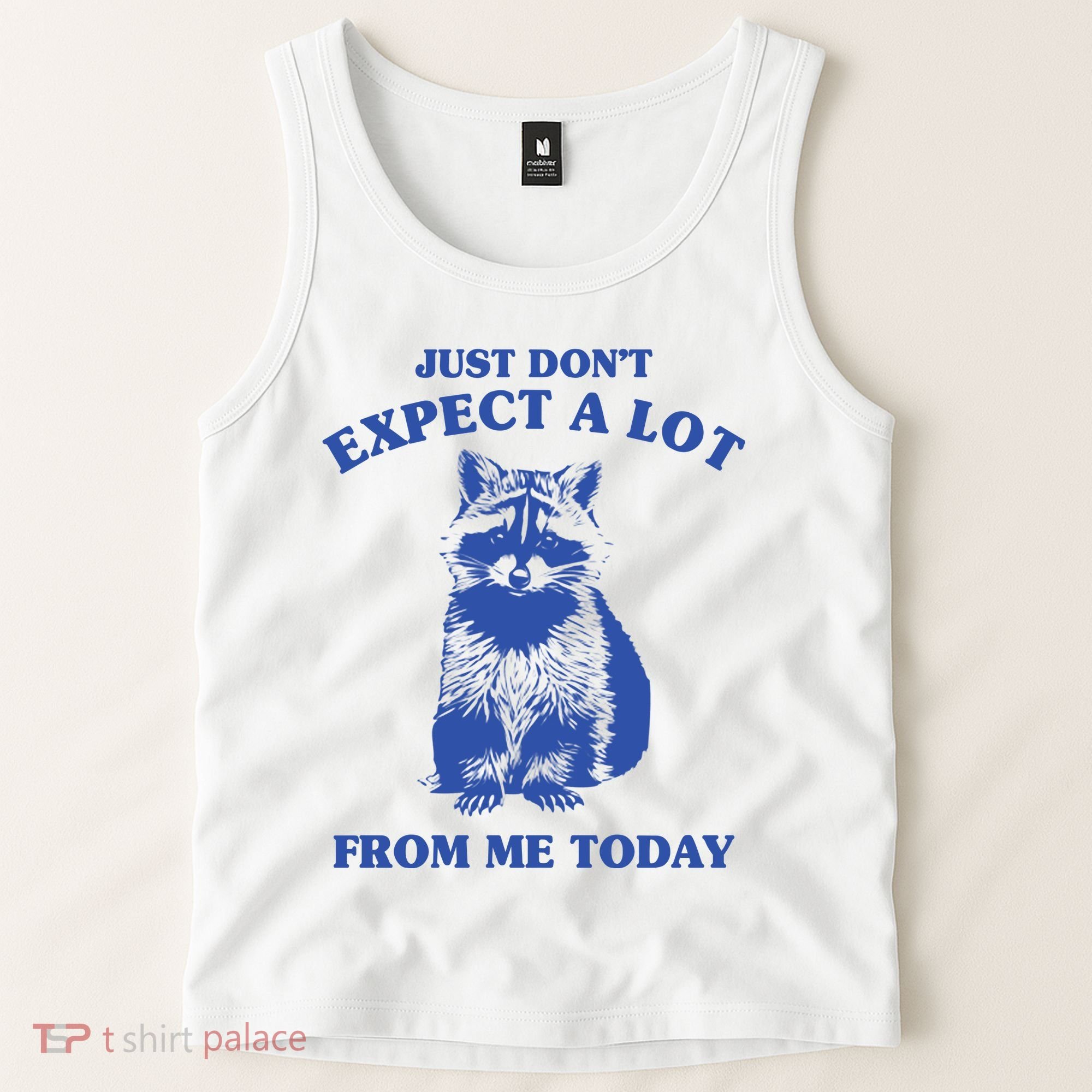 Just Dont Expect A Lot From Me Today Raccoon Funny Tank Top