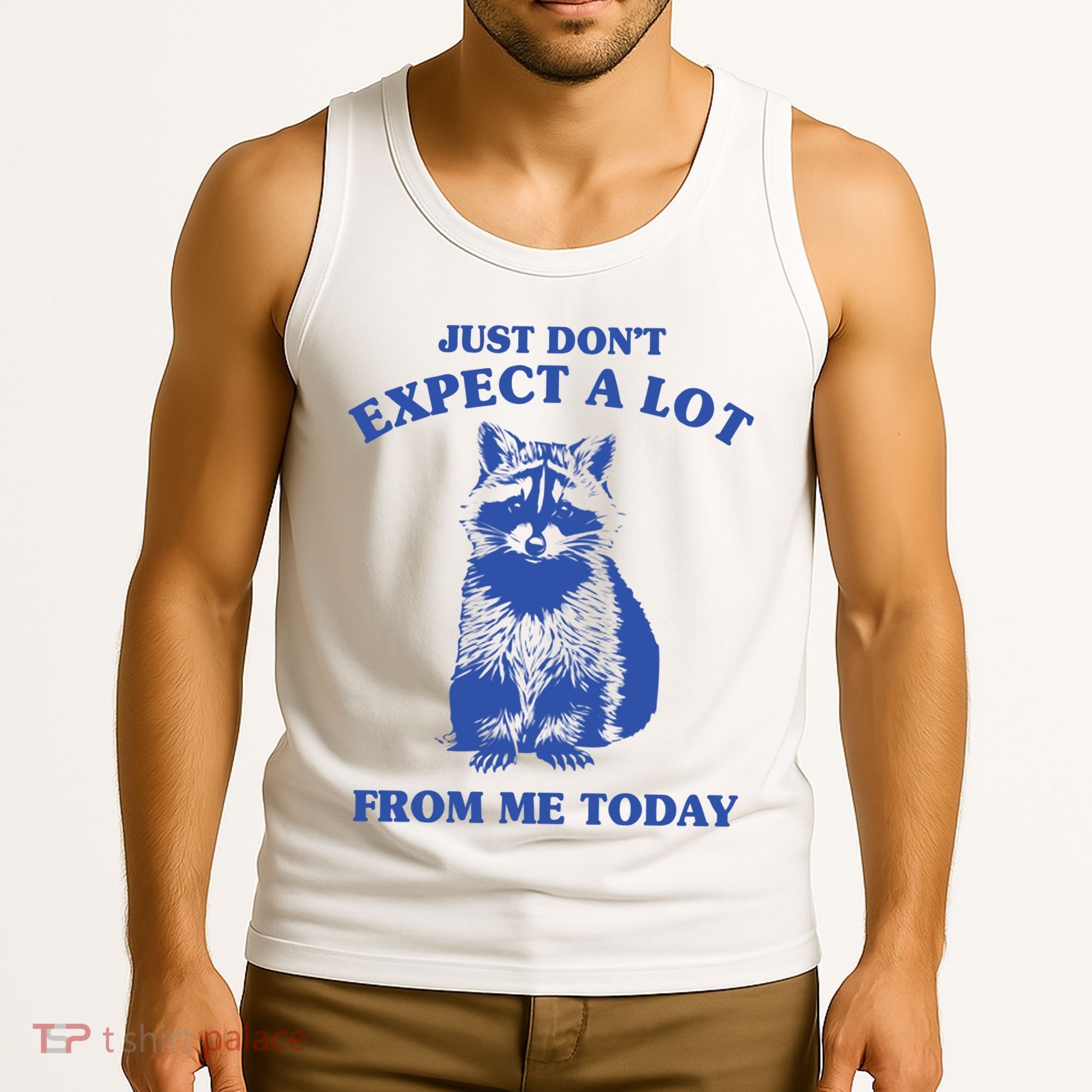 Just Dont Expect A Lot From Me Today Raccoon Funny Tank Top