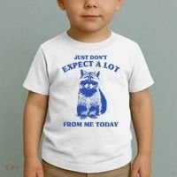 Just Dont Expect A Lot From Me Today Raccoon Funny Toddler T-Shirt thumb 2