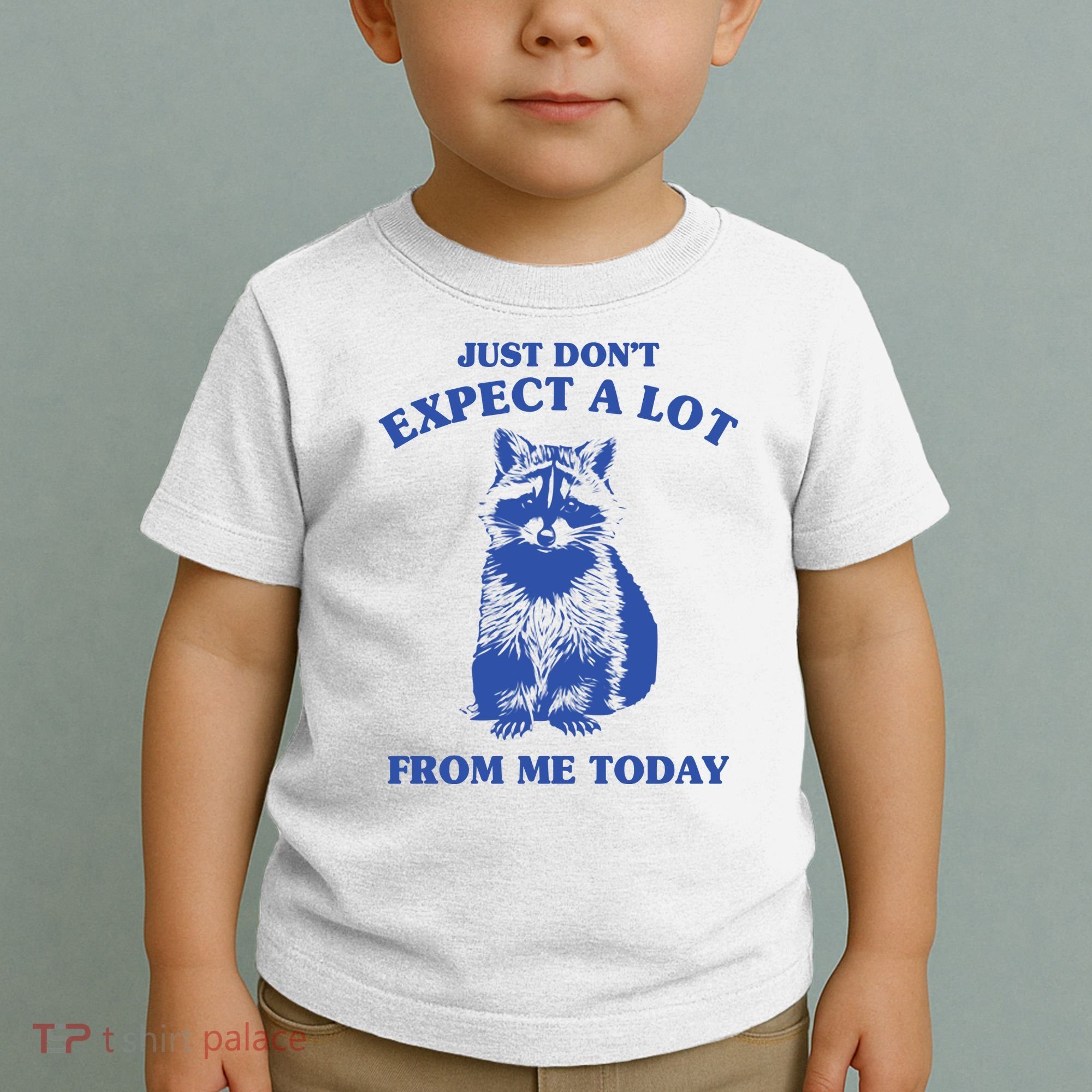 Just Dont Expect A Lot From Me Today Raccoon Funny Toddler T-Shirt