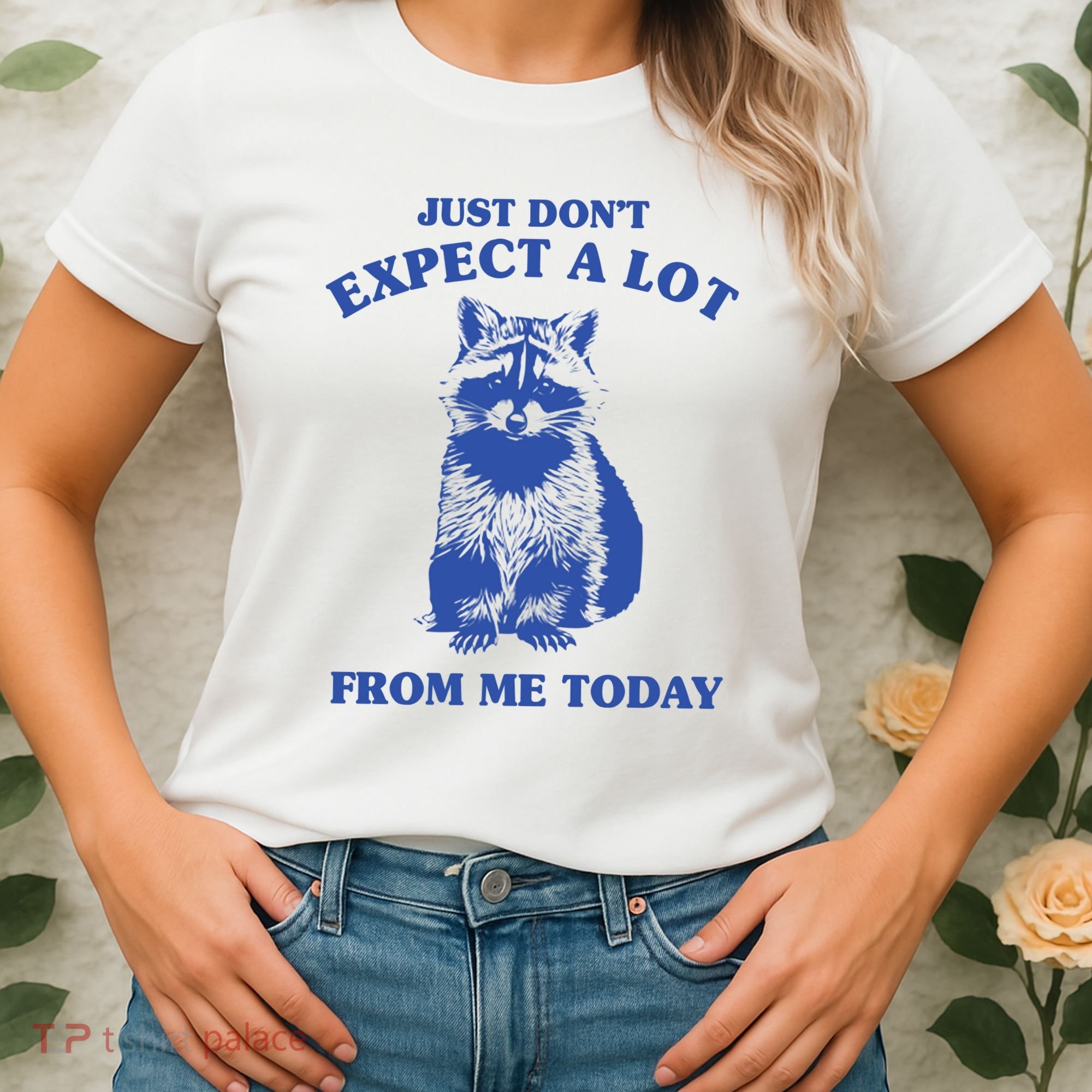 Just Dont Expect A Lot From Me Today Raccoon Funny Women's T-Shirt