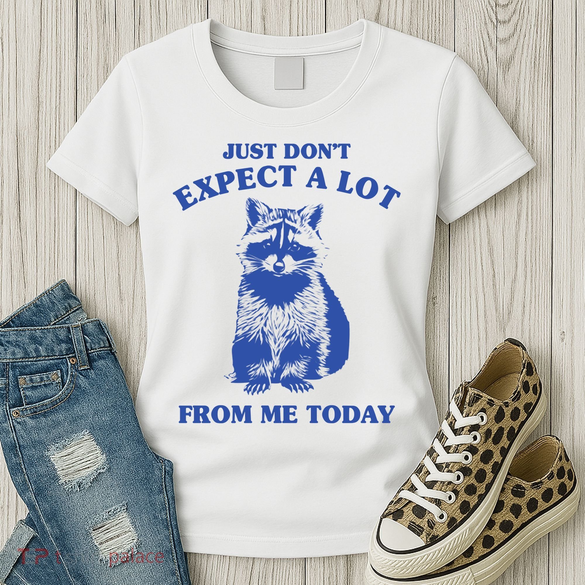 Just Dont Expect A Lot From Me Today Raccoon Funny Women's T-Shirt