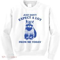 Just Dont Expect A Lot From Me Today Raccoon Funny Kids Sweatshirt thumb 0