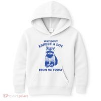 Just Dont Expect A Lot From Me Today Raccoon Funny Kids Hoodie thumb 0