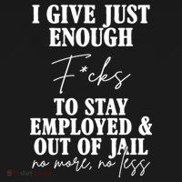 Just Enough Fucks To Stay Employed Out Of Jail Funny Women's Hoodie thumb 2