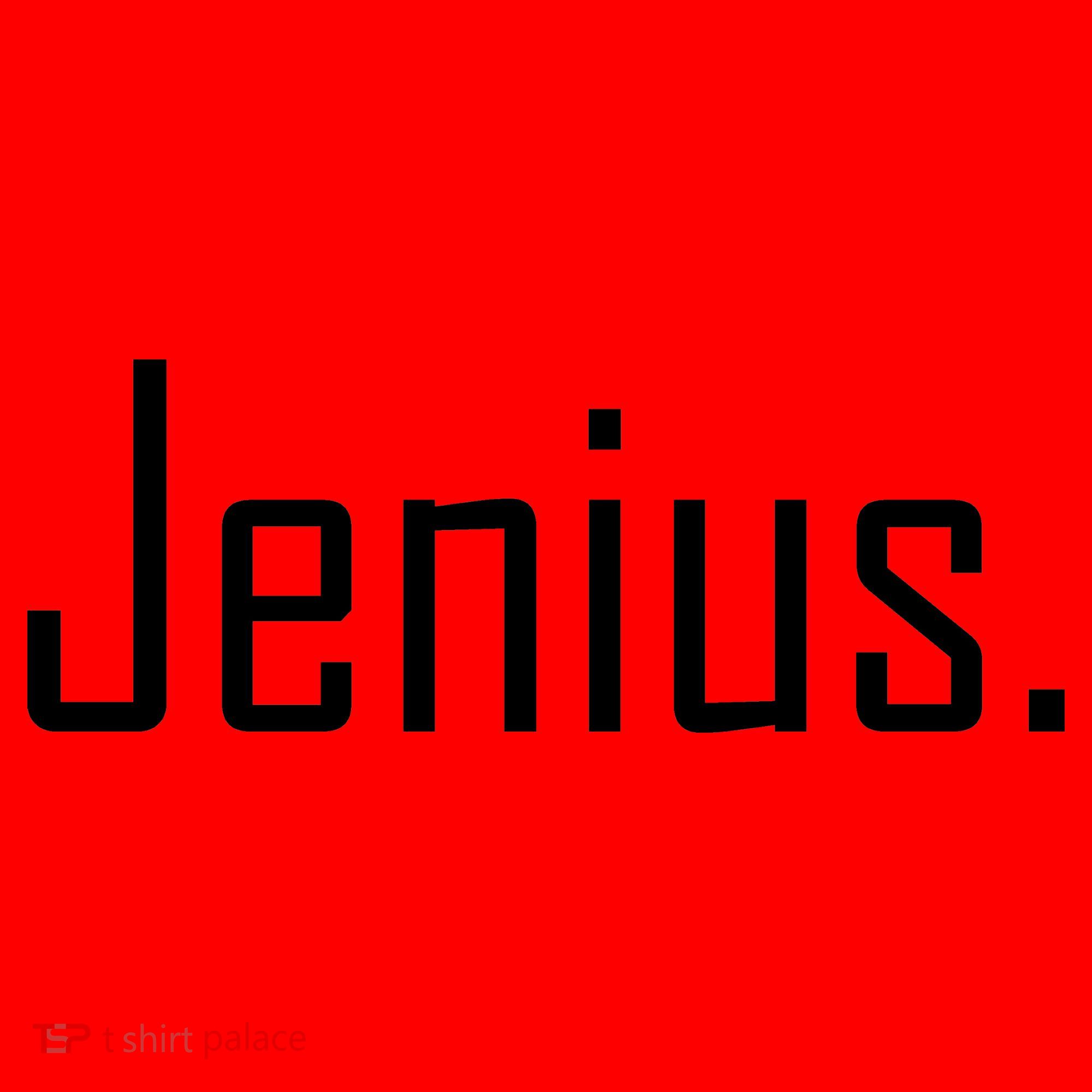 Jenius Santa Hat