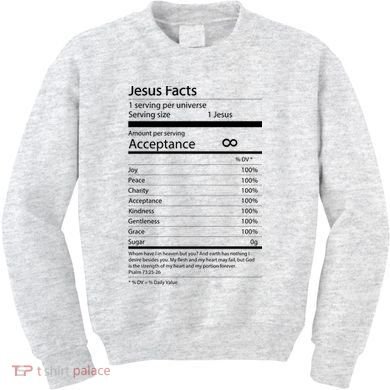 Jesus Facts Kids Sweatshirt