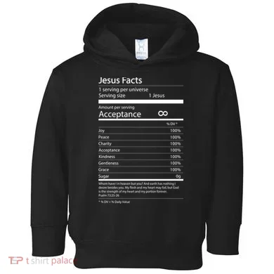 Jesus Facts Toddler Hoodie