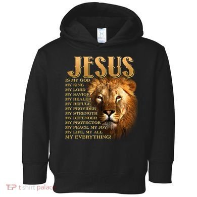 Jesus Is My God My King Lion Toddler Hoodie