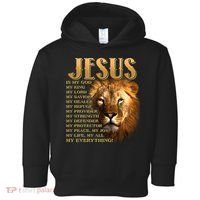Jesus Is My God My King Lion Toddler Hoodie thumb 0