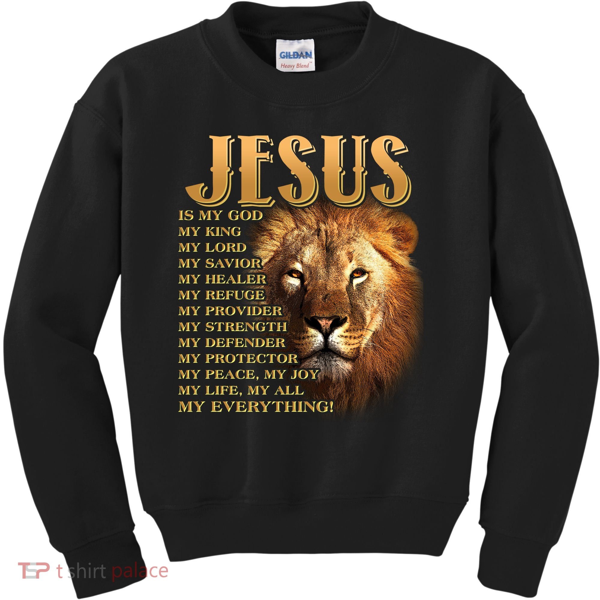 Jesus Is My God My King Lion Kids Sweatshirt