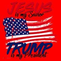 Jesus Is My Savior Trump Is My President USA Flag Santa Hat thumb 1
