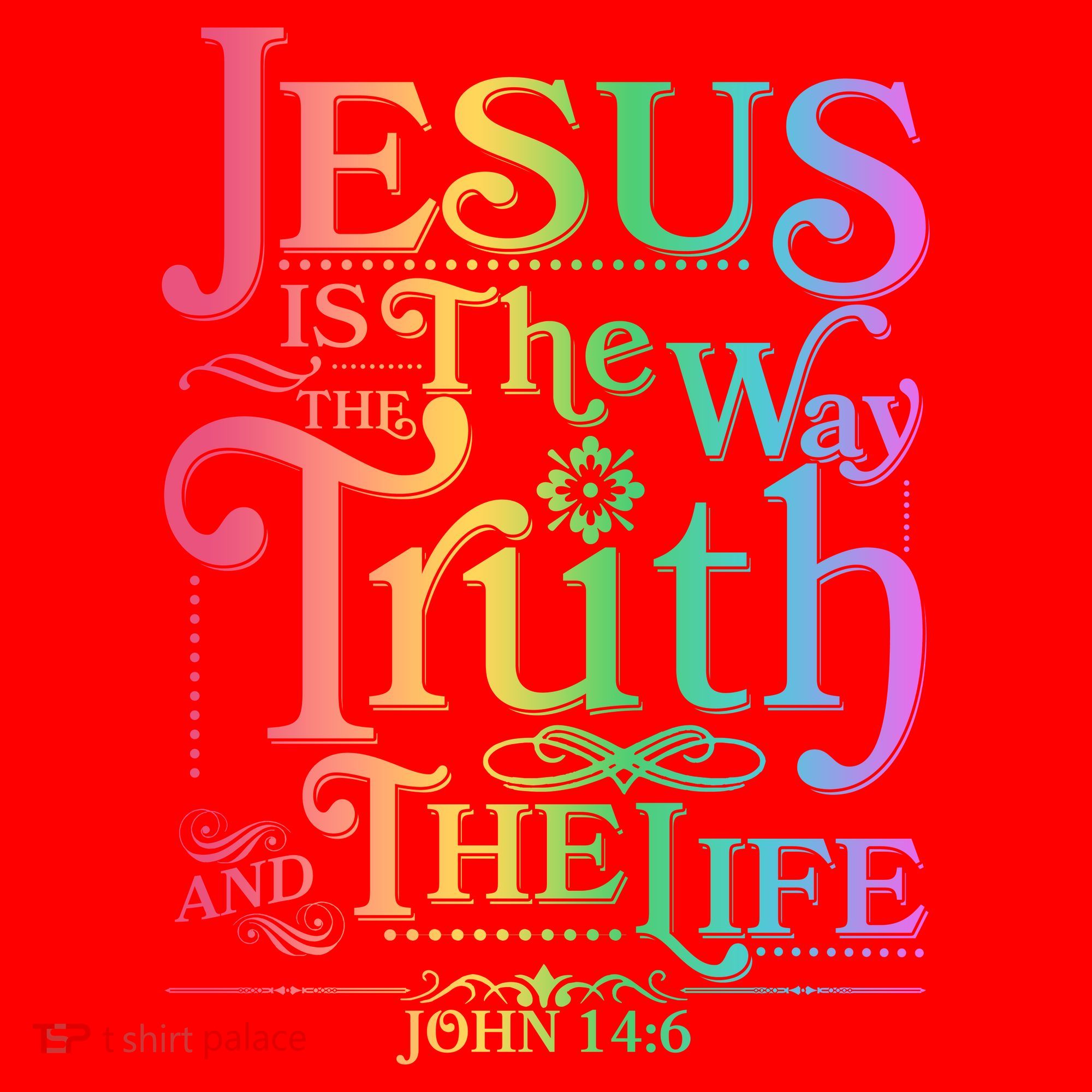 Jesus is the way the Truth and the Life John 14:6 Santa Hat