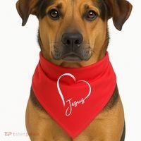Jesus Love Simple Faith Heart USA-Made Doggie Bandana thumb 1