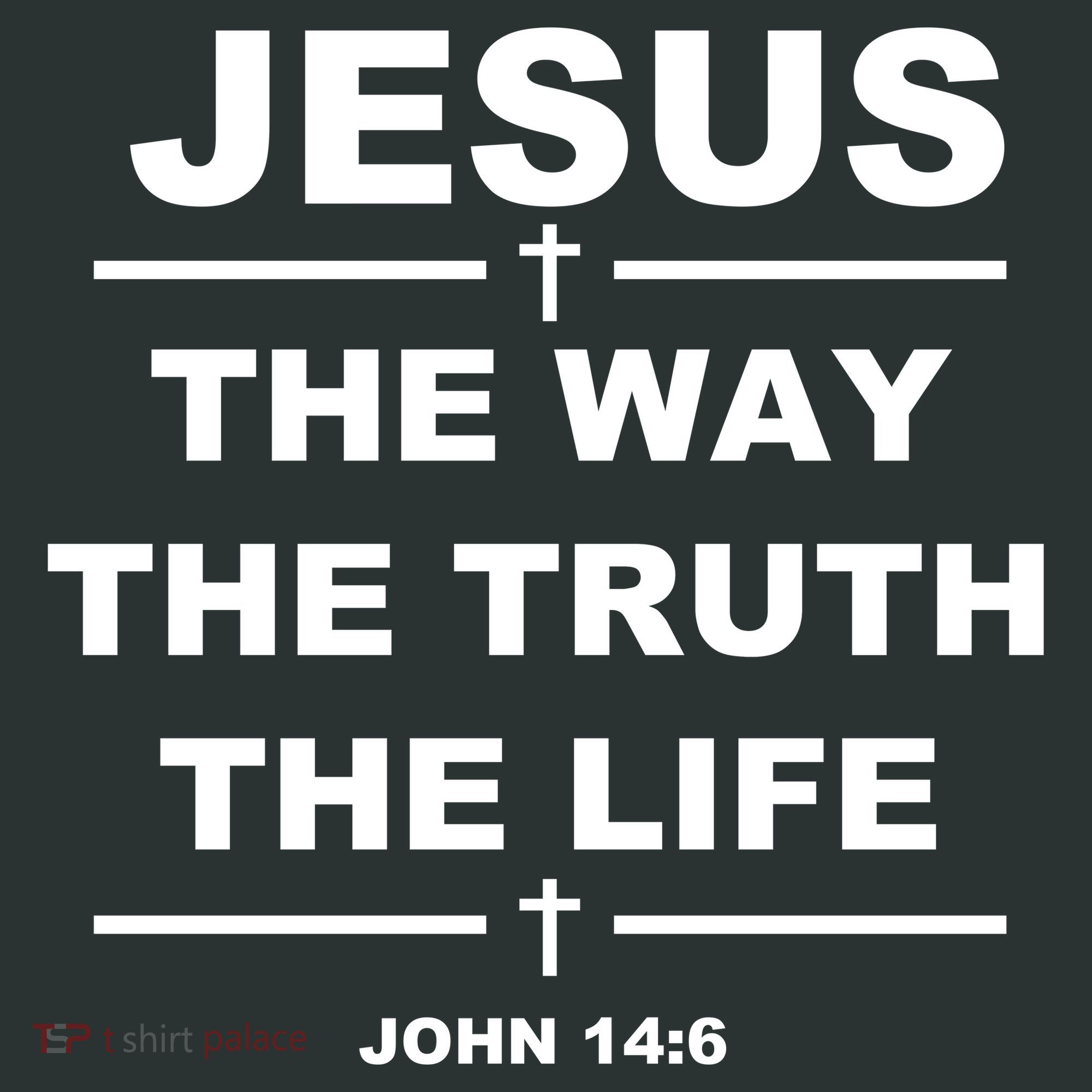 Jesus the way the truth the life Infant Baby Jersey Bodysuit
