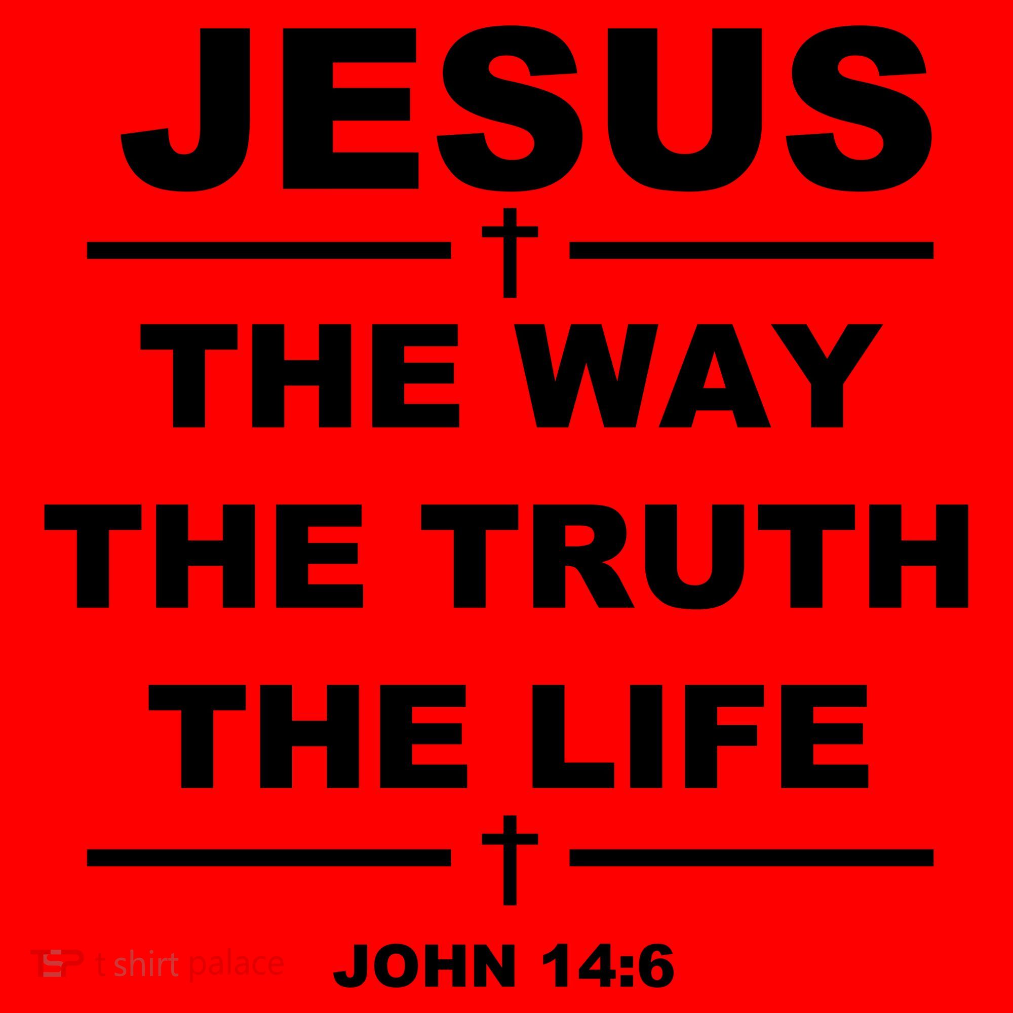 Jesus the way the truth the life Santa Hat