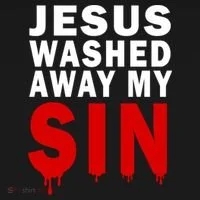 Jesus Washed Away My Sin Toddler Hoodie thumb 2