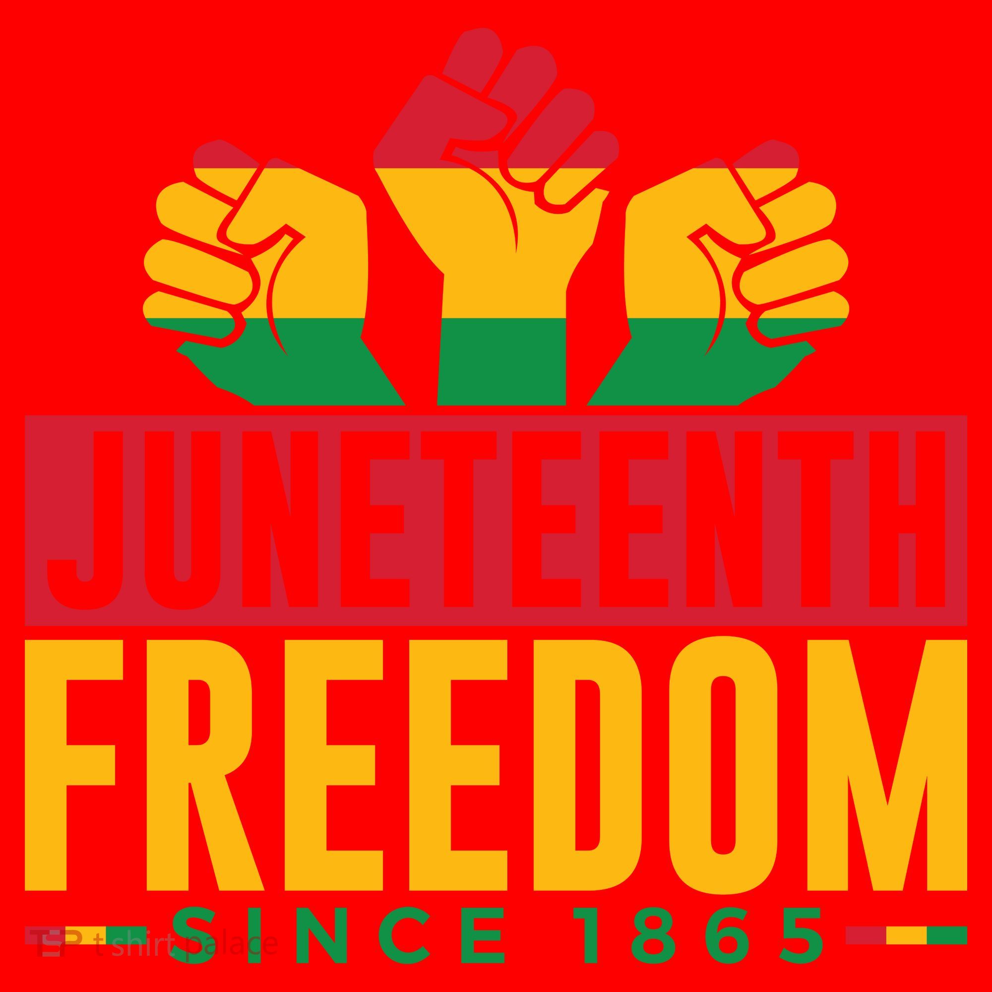 Juneteenth Freedom Art Santa Hat